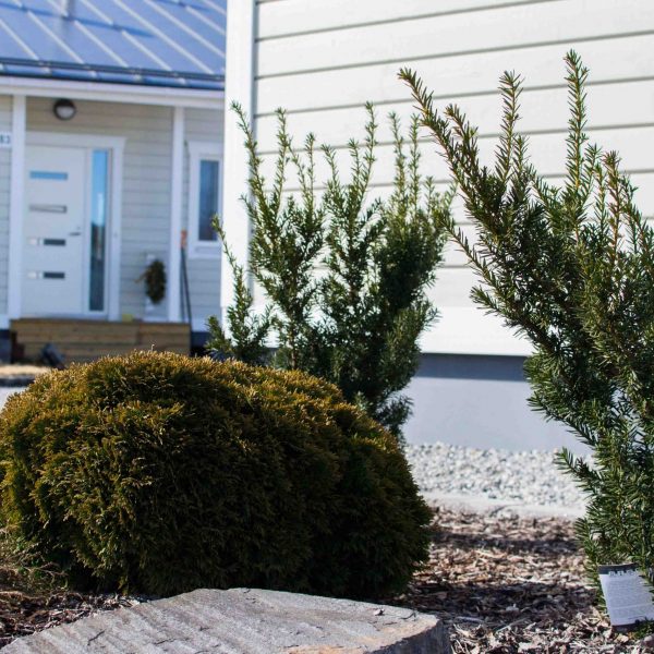 Trädgårdsplanering Ekorrvägen parhus