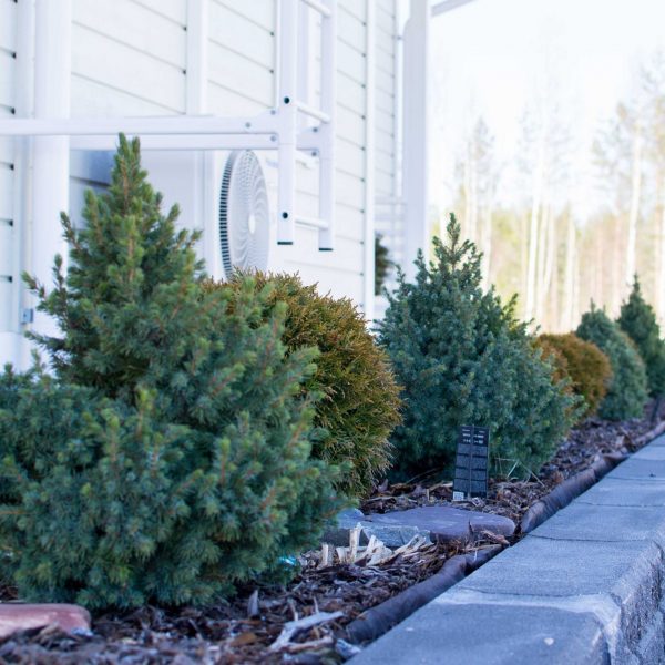 Trädgårdsplanering Ekorrvägen parhus